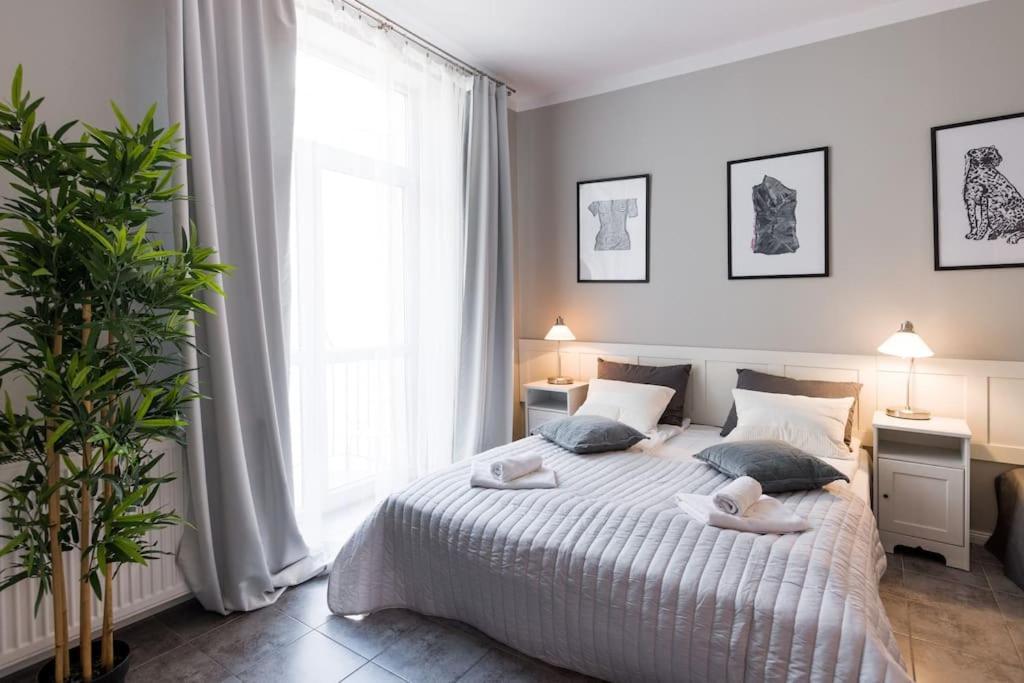 Florianska Deluxe With Air Condition Appartement